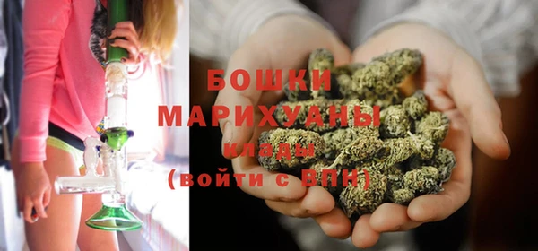 apvp Бородино