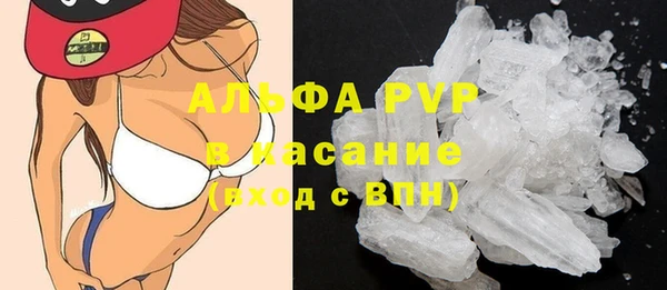 apvp Бородино