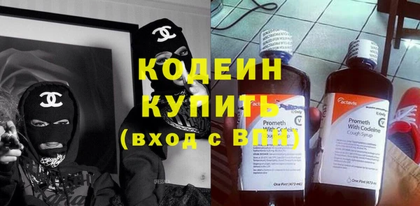 apvp Бородино