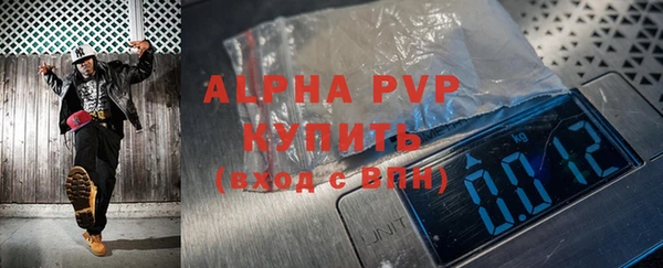 apvp Бородино