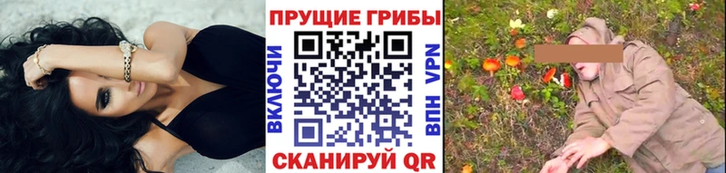 Псилоцибиновые грибы ЛСД Кинешма